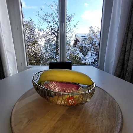Praz Slopes Apartment Courchevel